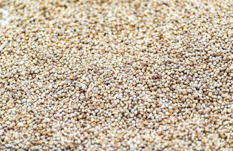 Bajra Flour