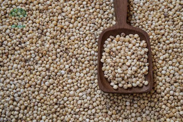Jowar Flour