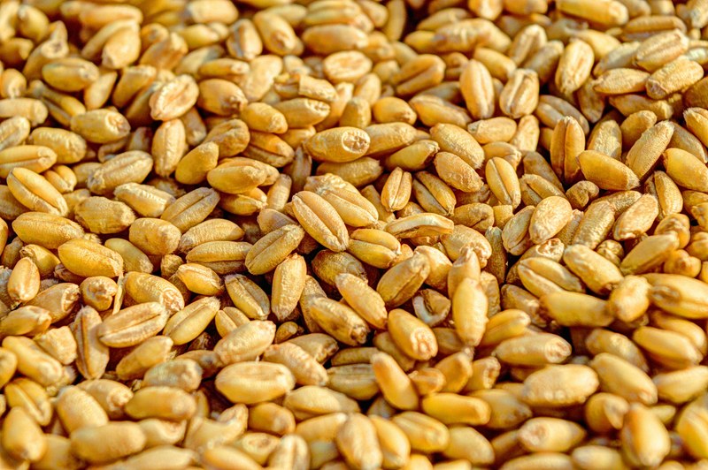 Whole Wheat Atta